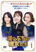 【バーゲンセール】【中古】DVD▼崖っぷちの魔女たち 1(第1話〜第3話) 字幕のみ レンタル落ち