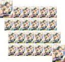 【バーゲンセール】全巻セット【中古】DVD▼恋のフルスロットル 私たちの青春白書(24枚セット)第1話〜第47話 最終 字幕のみ レンタル落ち