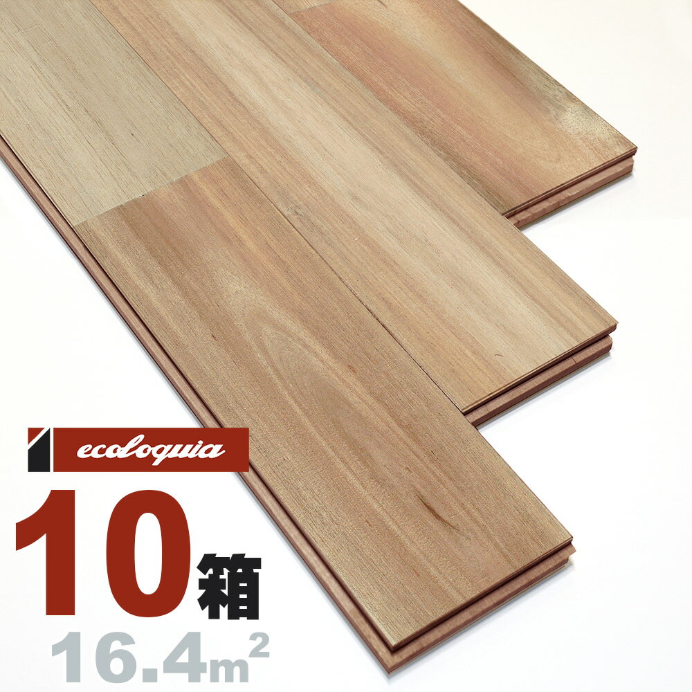 AJVA j[v~A]Ct[O 15x90x1820mm h xgi acacia C  t[O C tA VR Ebh