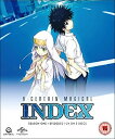 とある魔術の禁書目録 第1期 全24話 565分 DVD インデックス DVD アニメ 輸入版
