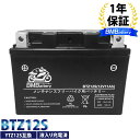 バイク バッテリー YTZ12S 互換【BTZ12S】BM Battery 液入 充電済み (YTZ12S FTZ12S CTZ12S STZ12S DTZ12S ) マグザムCP250 Z ドラッグスター MT-07 シャドウ Ninja バルカンS CBR600RR/900RR/929R/954RR/1000RR