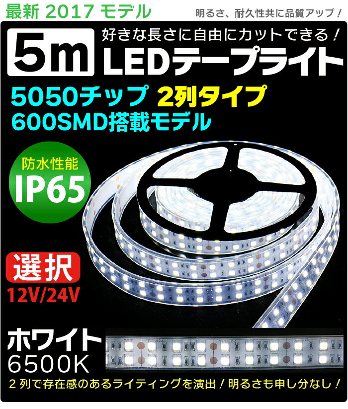 LEDテープライト 5m 防水 IP65 600SMD 12V/24V 選択 高防水性 シリコンチューブ LED2列タイプ LEDテープ 防水5050チップ 600SMD 24V 12V LEDテープ 防水 ledテープ 正面発光 間接照明 看板照明 棚下照明 イルミネーション ホワイト 送料無料