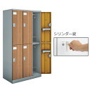 コクヨ Cfort(シーフォート) 木目扉タイプ 6人用ロッカー扉W300 2段タイプ シリンダー錠 幅900×奥行515×高さ1792mm 【NLK-L630...