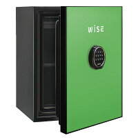 ディプロマットWISEプレミアムセーフ(グリーン)WS500ALG