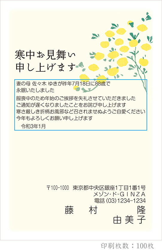 新規購入 全12柄 21年度版 寒中はがき印刷 普通郵便はがき 胡蝶蘭 100枚 特選デザイン 100 イーコンビ店 Tegalsari Ubud Com