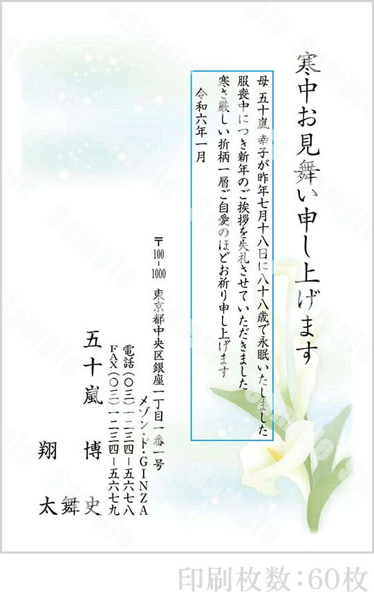 【4月20日-30日1時59分までエントリー＆2店舗合計5,000円以上で最大10万ポイント】全16柄 2024年度版 寒中はがき印刷 普通郵便はがき「胡蝶蘭」 60枚 特選デザイン 63505_60