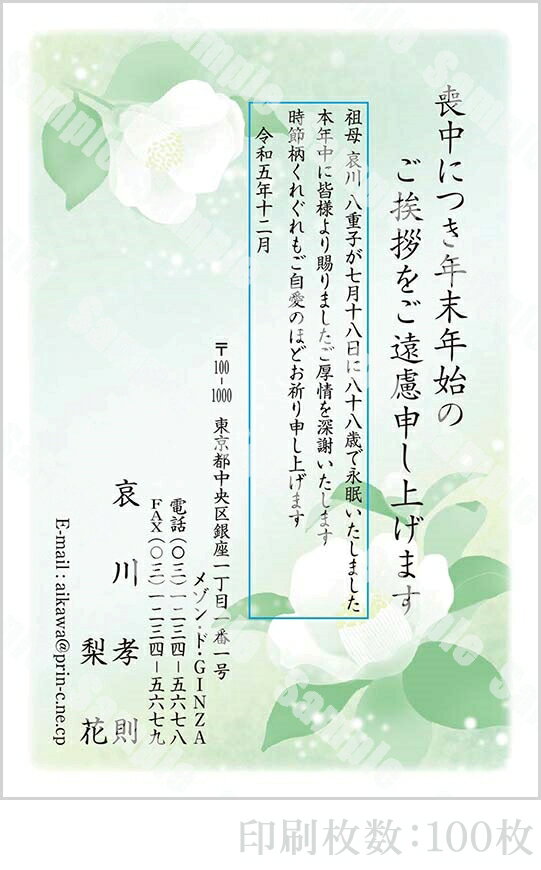 全96柄 2024年度版 喪中はがき印刷 普通郵便はがき「胡蝶蘭」 100枚 特選デザイン 64020_100
