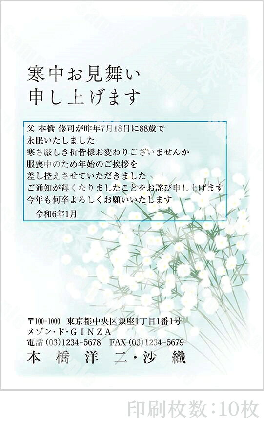 【4月20日-30日1時59分までエントリー＆2店舗合計5,000円以上で最大10万ポイント】全16柄 2024年度版 寒中はがき印刷 普通郵便はがき「胡蝶蘭」 10枚 特選デザイン 64514_10