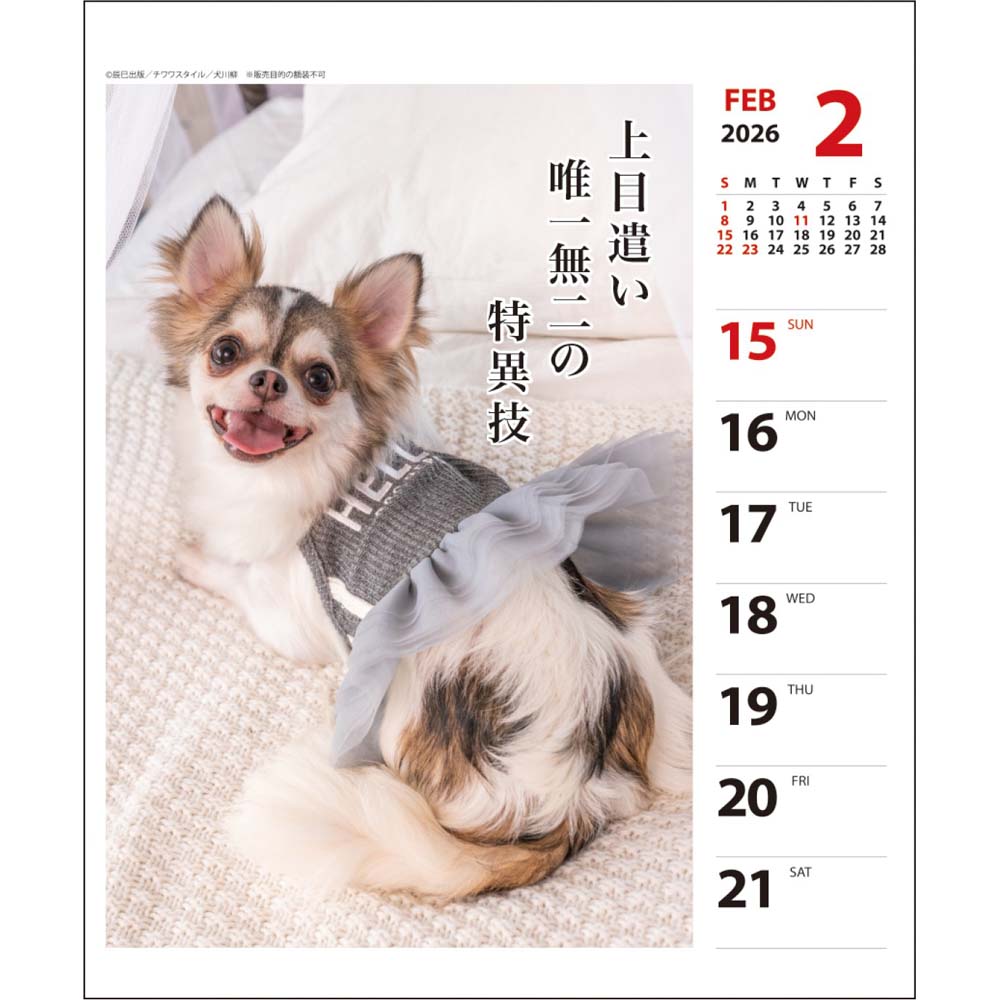 ��3��20��20��-26��1��59ʬ�ޤǥ���ȥ꡼��2�ͤ�1�ͤ��������ۥݥ���ȥХå��ۥ����ȥץ��ȥ���ѥ� 26ǯ �������� ��������� ���᤯�� 1000136874 1��Ϥ��ޤ�