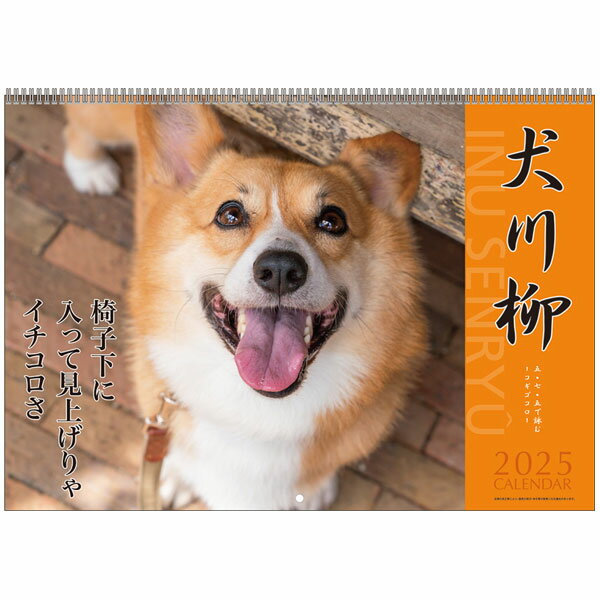 【4月20日-30日1時59分までエントリー＆2店舗合計5,000円以上で最大10万ポイント】2025年 カレンダー コーギー川柳 壁掛け 1000132319 犬 アートプリントジャパン AP