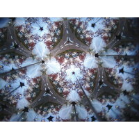 Artec(アーテック)万華鏡ビー玉タイプ#2464