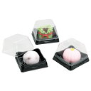 【最大2,000円オフCOUPON 11月1日-6日9時59分まで】Artec(アーテック) 透明作品ケース(10個組) #11134