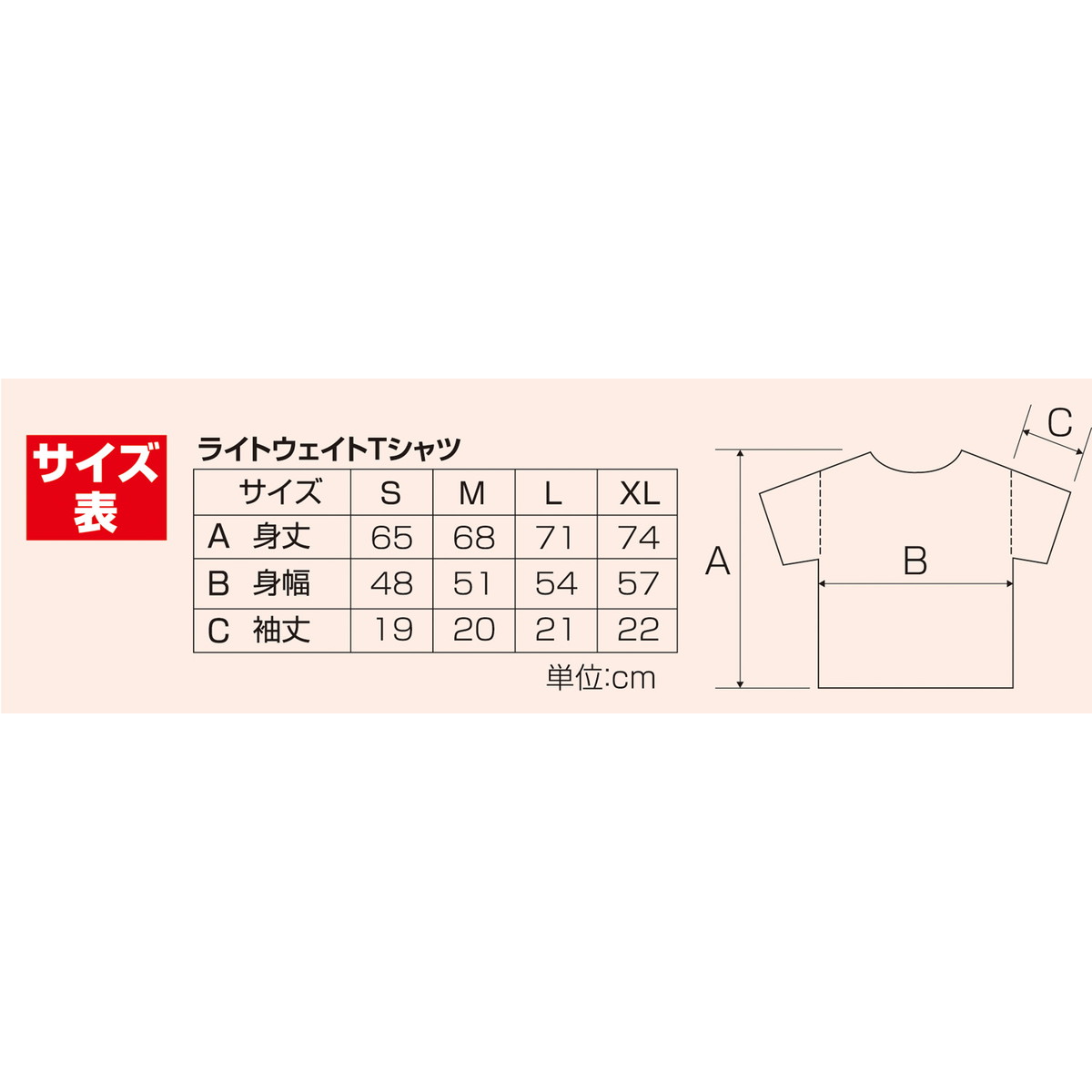 【8月25日24H限定★エントリーで全商品P10倍！】Artec(アーテック) ライトウエイトTシャツ M ネイビー　031 #38765