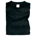 Artec(アーテック) カラーTシャツ J 005 ブラック　(サイズ150) #38975