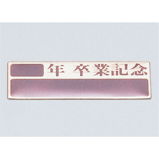 Artec(アーテック) 卒業記念プレート(10枚組)アルミ製 #47100 Artec(アーテック) 卒業記念プレート(10枚組)アルミ製 #47100