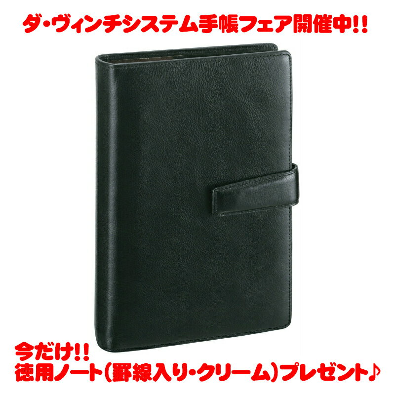 ダ・ヴィンチ 手帳 【ラッピング無料】【名入れ可(有償)】 レイメイ藤井 Raymay ダ・ヴィンチ ダヴィンチ ブラック 聖書 サイズ システム手帳 リング24mm DB3005B ビジネス スタンダード スーパーロイスレザー ダブルホックタイプ