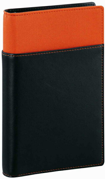 【最大2,000円オフCOUPON 12月1日-6日9時59分まで】レイメイ藤井Davinci(ダ・ヴィンチ)システム手帳用 リフィルファイルポケット WBF1...