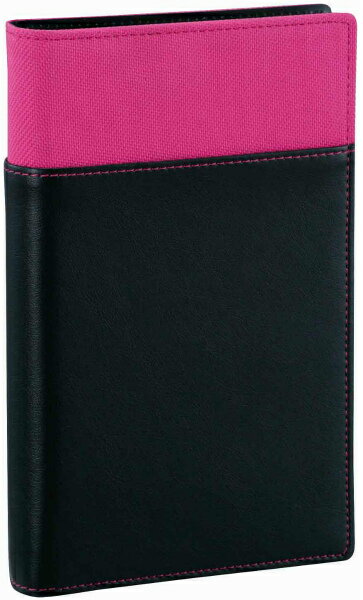 【最大2,000円オフCOUPON 12月1日-6日9時59分まで】レイメイ藤井Davinci(ダ・ヴィンチ)システム手帳用 リフィルファイルポケット WBF1...