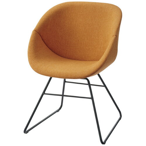 【1月9日20時-16日1時59分までエントリーで2点購入P5倍・3点以上でP10倍】FRENZ ラウンジチェア RDP3-RB OR ループ脚BK 767967