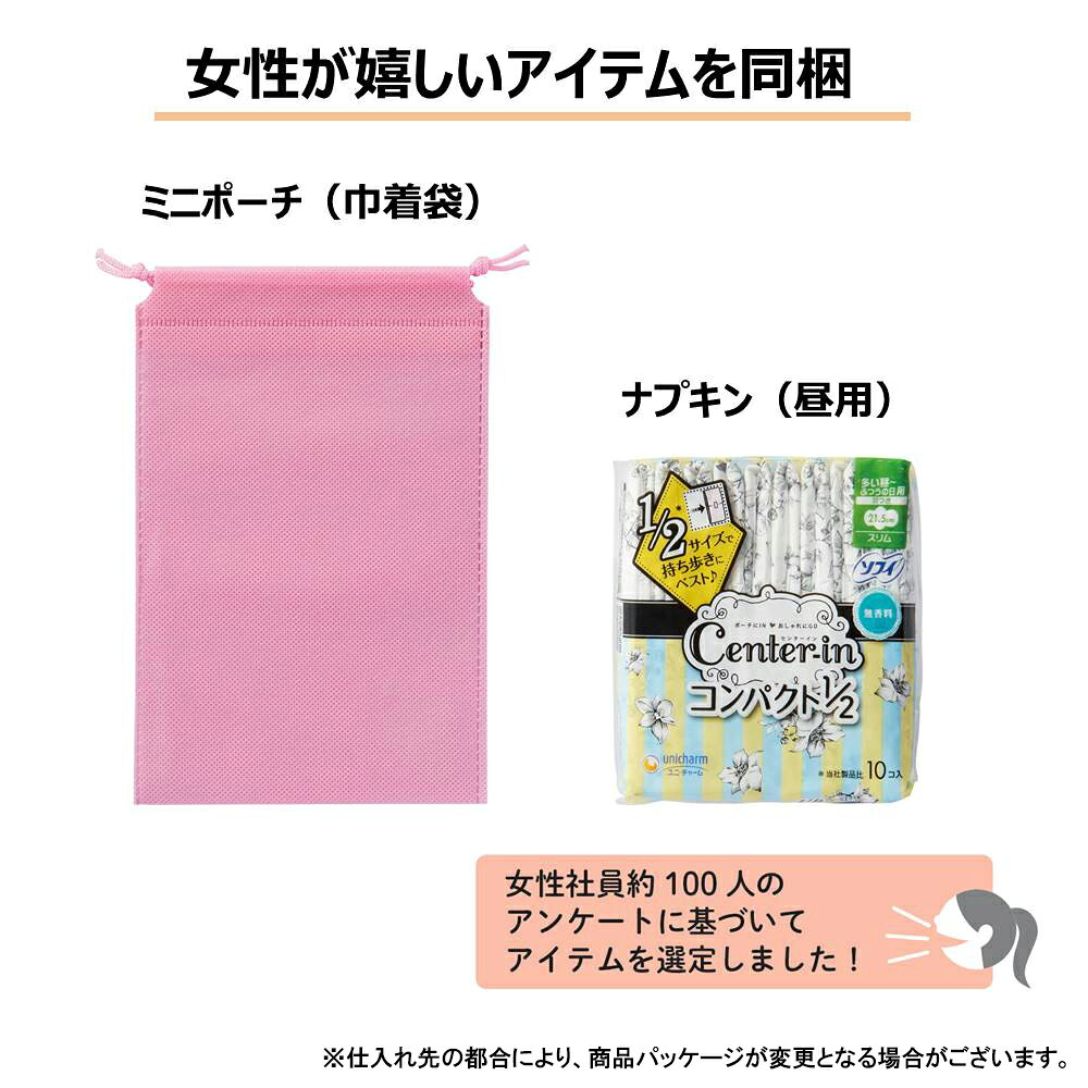 キングジム kingjim 災害衛生セット（女性用） HGS-300 防災セット 災害時 衛生 コンパクト 非常用トイレ 歯磨き からだ拭き ドライシャンプー 女性用 econve-10389605 イーコンビ楽天市場店 サンプル画像3