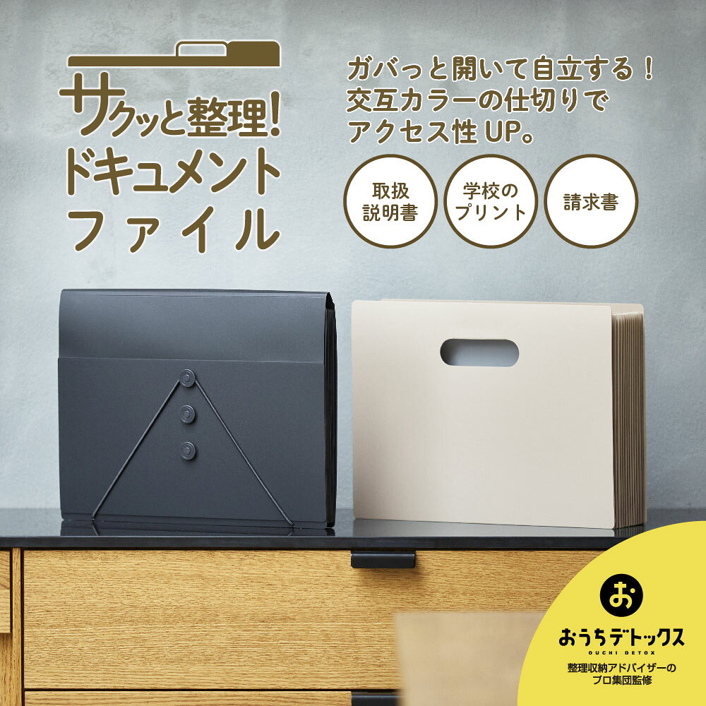 イーコンビ楽天市場店のキングジム　KINGJIM サクッと整理 ドキュメントファイル (フタ付) シロ 2290-W ドキュメントボックス 収納 書類整理｜アングル2