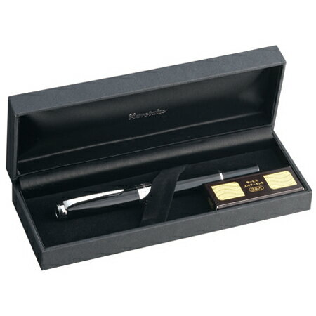 ���ݡ㥯�쥿���� ��������ǯ��ɮ �������꡼�ʥ��� �֥�å� DAY141-1