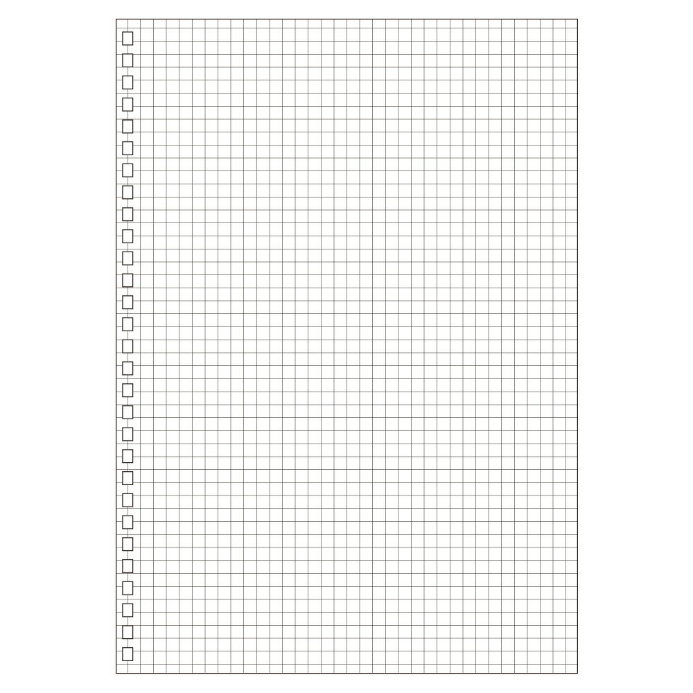 LIHIT LAB.＜リヒトラブ＞ ツイストリング・ノート(専用リーフ・B5方眼) N1600S(N-1600S)