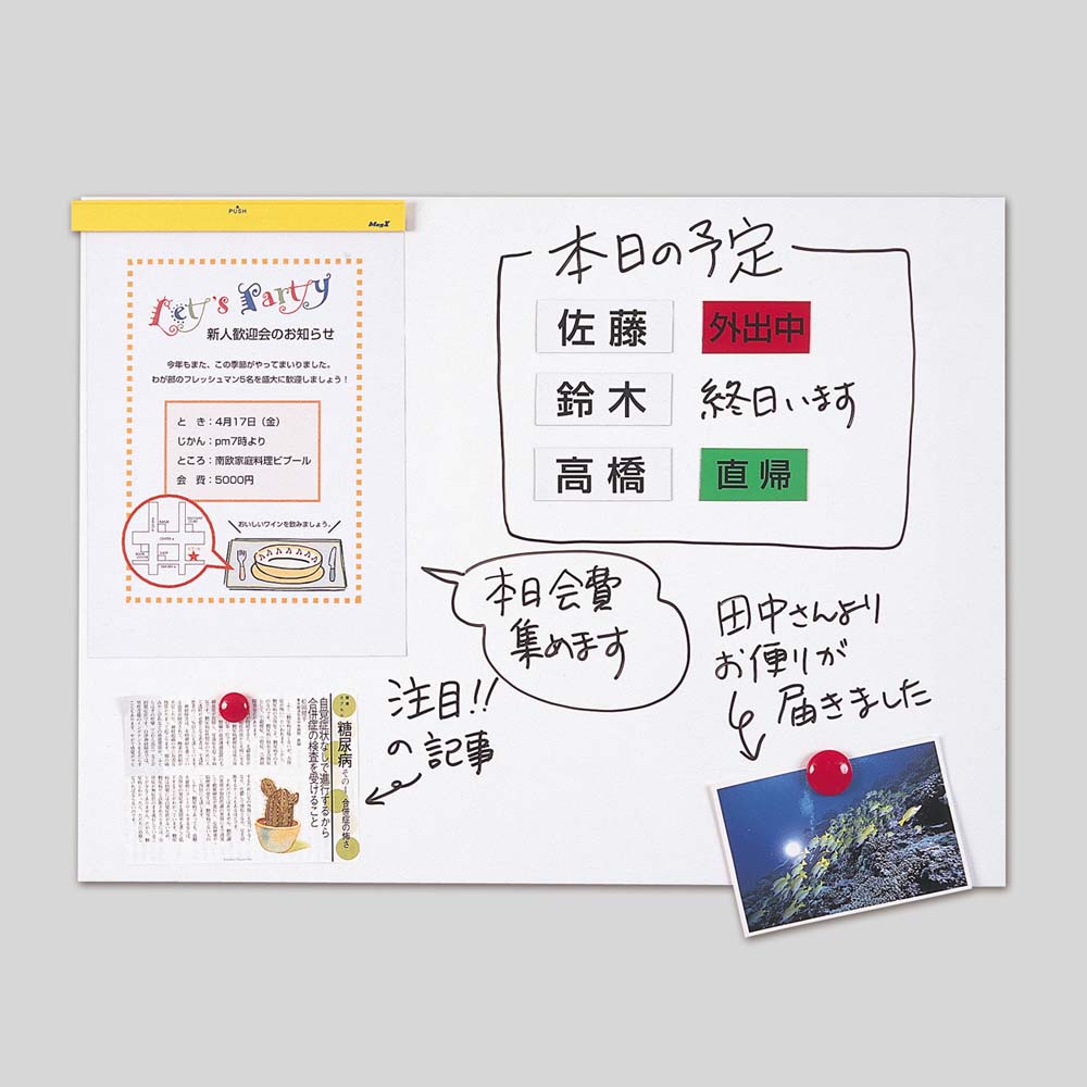 【7月4日20時-11日1時59分までエントリーで2点購入P5倍・3点以上でP10倍】マグエッ...