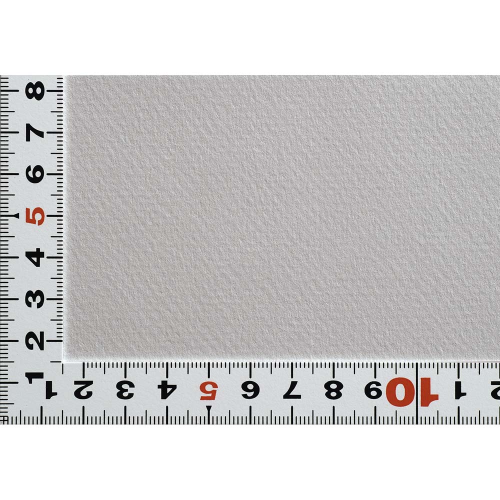 【3月20日20時-26日1時59分までエントリーで2人に1人が最大全額ポイントバック】マルマン maruman ミ・タント パッド 32X41 グレートーン 4色アソート CANSON Mi-Teintes