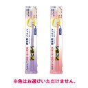 【最大2,000円オフCOUPON 8月1日-6日9時59分まで】【数量限定特価!!】松本金型 matsumotokanagata 新体験歯ブラシくるりんコンパ...