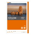 日本ノート　キョクトウ　かんがえる学習帳　国語17行　B5　L12