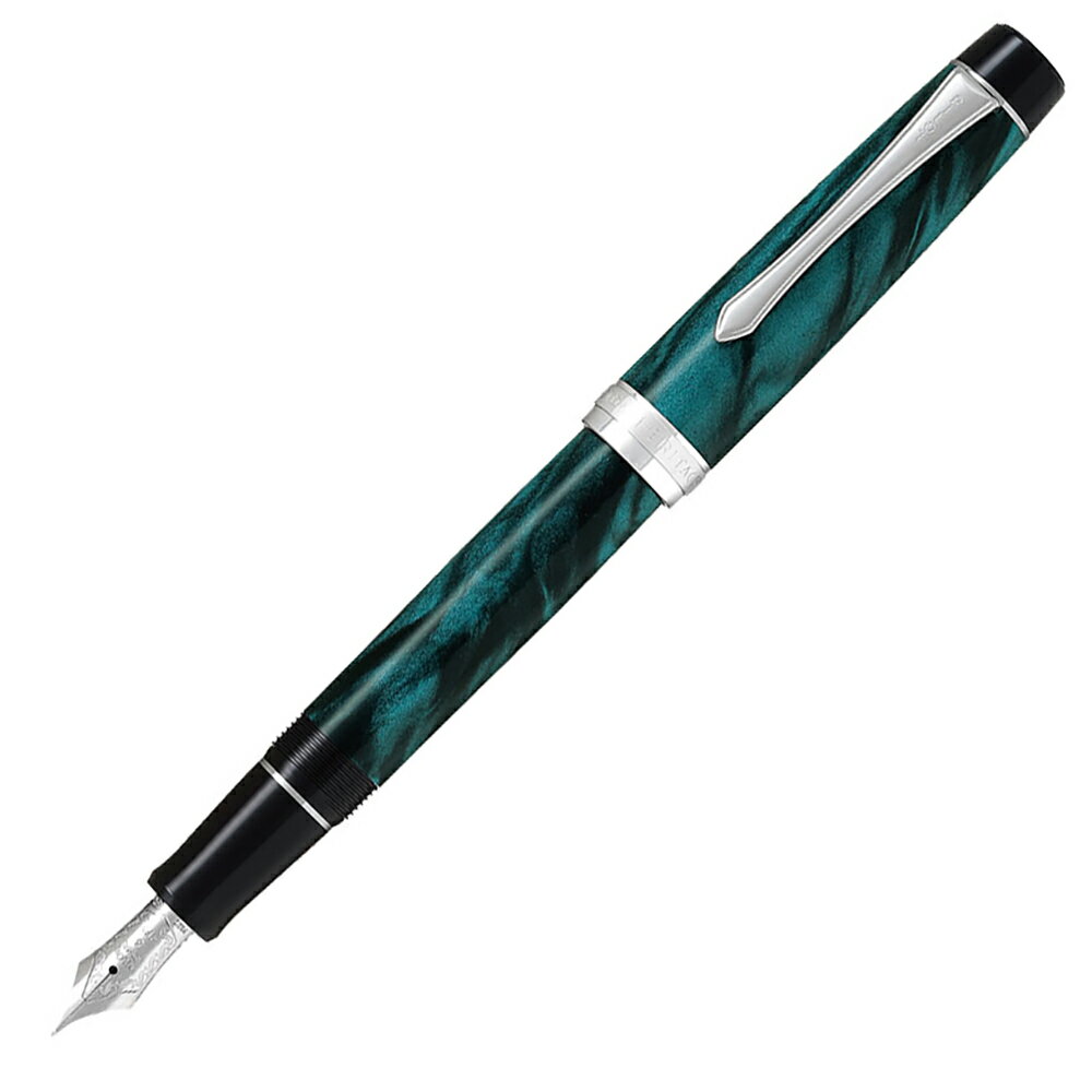 PILOT - パイロット PILOT 万年筆 カスタム ヘリテイジ SE マーブルグリーン 中字 ギフトケース付き FKVH-3MR-MAG-M CUSTOM HERITAGE SE