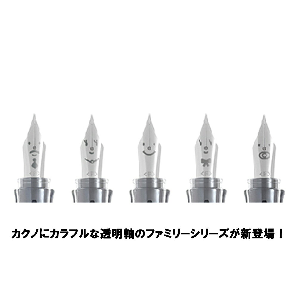 イーコンビ楽天市場店のパイロット PILOT 万年筆 カクノ ファミリー カクノボーイ グリーン 細字 FKA-1SR-KBOG-F｜アングル2