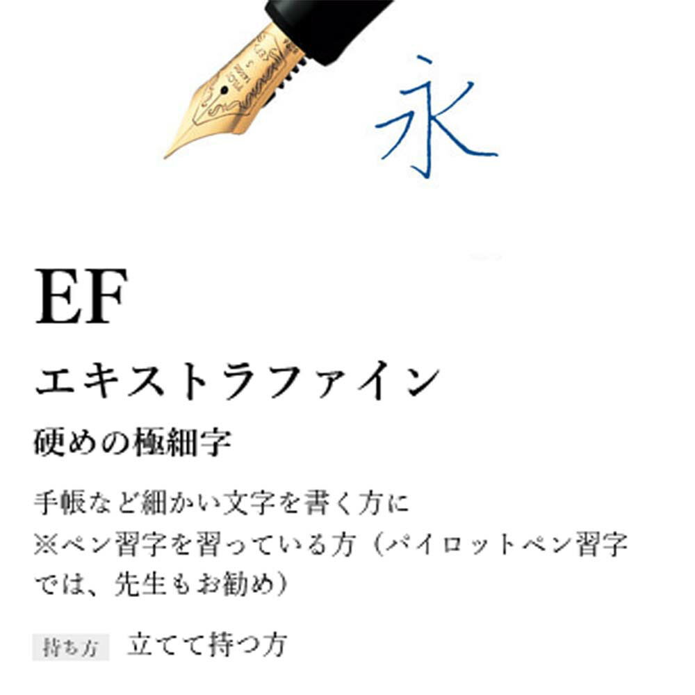 パイロット PILOT 万年筆 キャップレス・デシモ ダークグレーマイカ 極細字 ギフトケース付き FCT-15SR-GY-EF Capless decimo