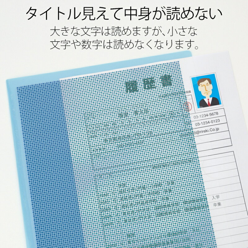 プラス(PLUS)カモフラージュ 仕切り付ホルダー・3ポケット A4 ブルー FL-131CH 10冊パック　89-581