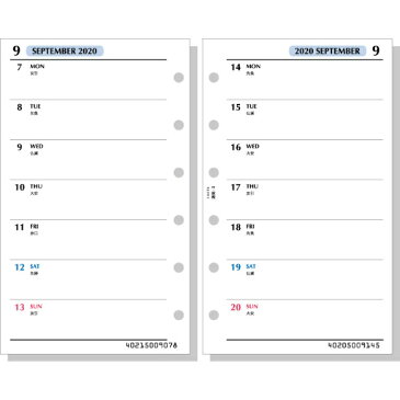 【メール便なら送料240円】レイメイ藤井　ラセ　2020年日付入　スケジュールリフィル　2020年週間3　LAR2082　(見開き両面2週間)【RCP】