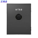 【送料無料】ディプロマット WISEプレミアムセーフフェイスパネル(ダークグレイ) WS500FPDG