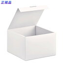 【7月19日20時-26日1時59分までエントリーで2点購入P5倍・3点以上でP10倍】プラス PLUS ボックス ito/oshi 新書サイズのコミックに保護カバーをつけたままぴったり収納できる組立式PPBOX オフホワイト FL-371CF 91489