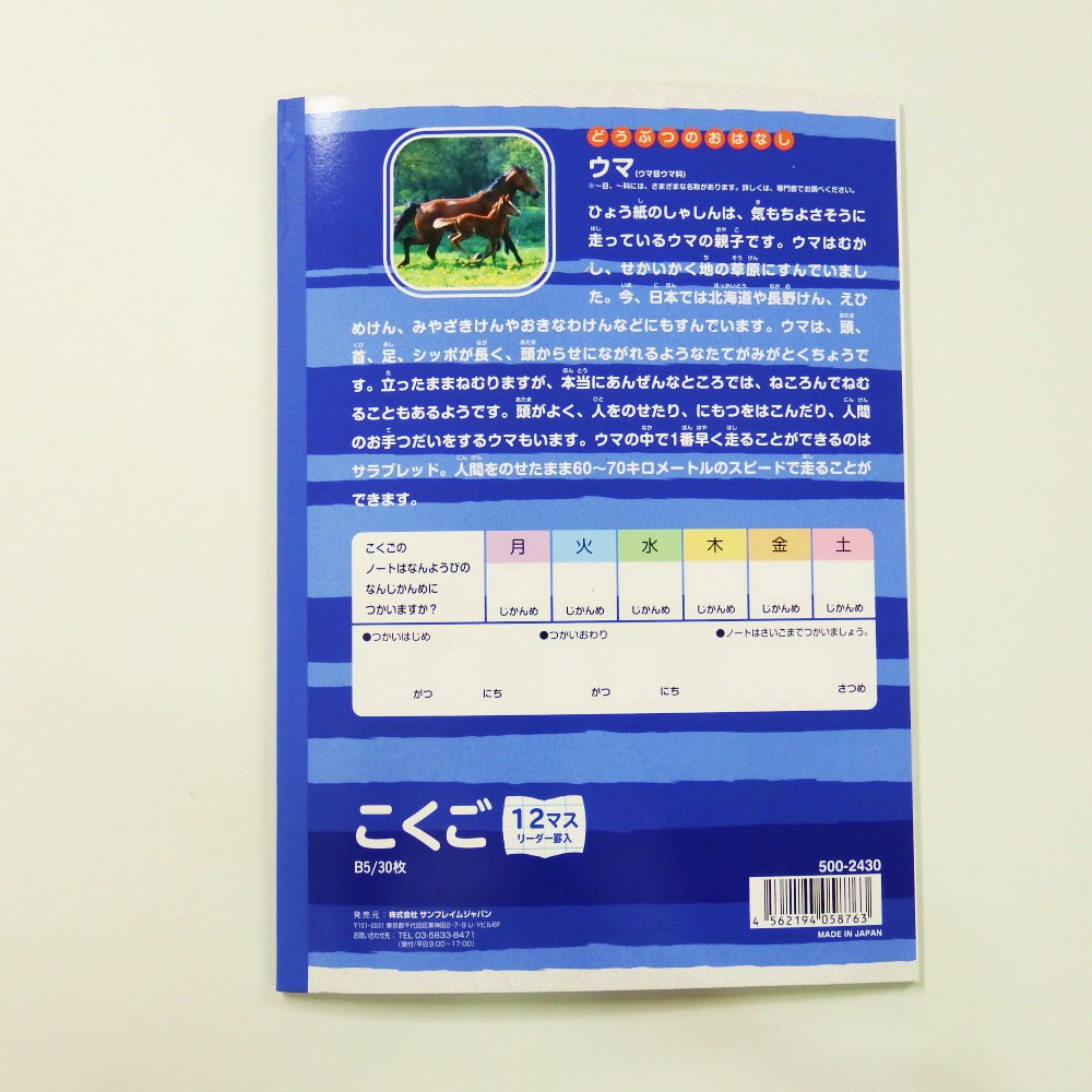 【最大2,000円オフCOUPON 1月1日-6日9時59分まで】サンフレイムジャパン　学習帳　こくご　12マス　500-2430　500-2430