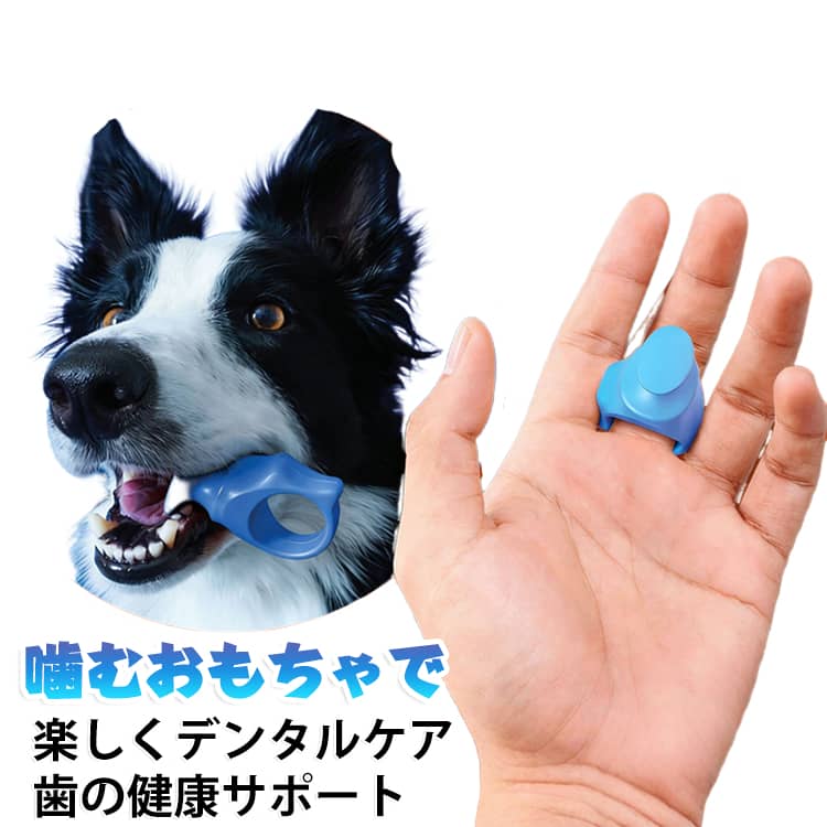 【シリコン製指歯ブラシ】この新しいペット用シリコン製指歯ブラシは、安全かつ柔らかなシリコン素材で作られており、無毒・無臭です。噛みつきや摩耗に強く頑丈な設計のため、ペットが噛んだり遊んだりしても簡単に破損することはありません。人間の指にフィットするよう設計されているため使いやすく、ペットの歯磨きや歯ぐきのマッサージを、無理なく簡単に行うことができます。【機能】 歯石、歯垢、食べかすを効果的に除去し、口腔内の健康を守るとともに、口臭を軽減します。また、ペットとの遊びに使える「噛むおもちゃ（デンタル玩具）」としても機能し、ペットの遊び相手として退屈しのぎにも役立ちます。【柔らかな感触】柔らかな感触でペットの歯ぐきを傷つける心配がなく、子犬や子猫から成犬・成猫まで、安心してお使いいただけます。毎日のオーラルケアやペットとの楽しい遊びに最適で、ペットの歯の健康維持に欠かせない必須アイテムです。 サイズ F サイズについての説明 サイズ：3*2.5*6cm 重量約17g※サイズ計測には誤差が生じます。 素材 シリコーン 色 オレンジ ブルー 備考 ●サイズ詳細等の測り方はスタッフ間で統一、徹底はしておりますが、実寸は商品によって若干の誤差(1cm～3cm )がある場合がございますので、予めご了承ください。 ●製造ロットにより、細部形状の違いや、同色でも色味に多少の誤差が生じます。 ●パッケージは改良のため予告なく仕様を変更する場合があります。 ▼商品の色は、撮影時の光や、お客様のモニターの色具合などにより、実際の商品と異なる場合がございます。あらかじめ、ご了承ください。 ▼生地の特性上、やや匂いが強く感じられるものもございます。数日のご使用や陰干しなどで気になる匂いはほとんど感じられなくなります。 ▼同じ商品でも生産時期により形やサイズ、カラーに多少の誤差が生じる場合もございます。 ▼他店舗でも在庫を共有して販売をしている為、受注後欠品となる場合もございます。予め、ご了承お願い申し上げます。 ▼出荷前に全て検品を行っておりますが、万が一商品に不具合があった場合は、お問い合わせフォームまたはメールよりご連絡頂けます様お願い申し上げます。速やかに対応致しますのでご安心ください。