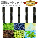 互換品 リキッド入り 互換 ポッド カートリッジ 10本セット 電子タバコ VAPE アクセサリー M11 ドクター DR 対応 フレーバーリキッド入り スティック STICK 互換カートリッジ メンソール ブルーベリー グリーンアップル クラシックスモーク レモンソーダ— ミントメンソール