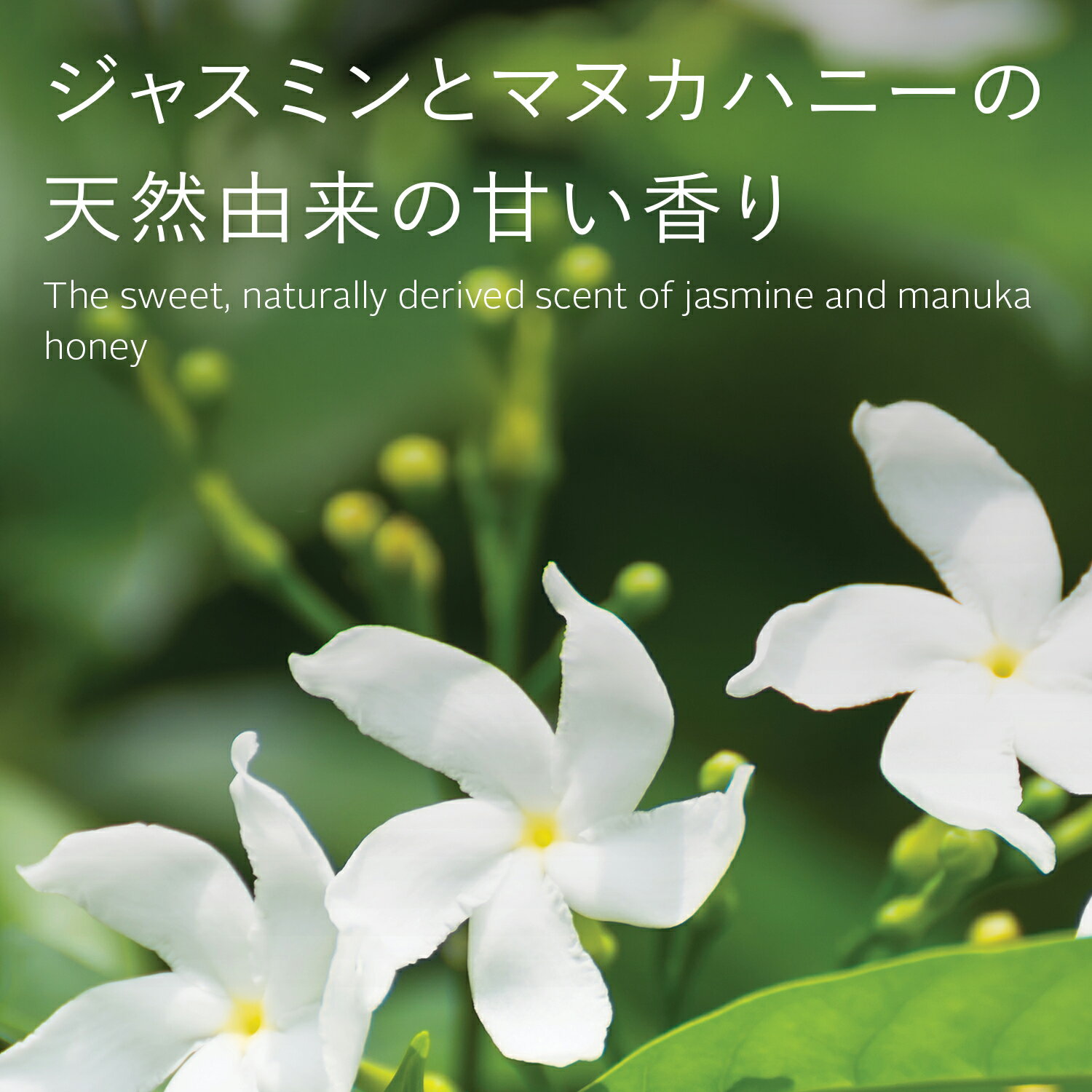 【3/4 20時〜2H限定★20％OFFクーポン配布】【エコストア公式】ecostore ボディウォッシュ ＜ジャスミン＆マヌカハニー＞ 900mL / ナチュラル ボディソープ いい 匂い 低刺激 敏感肌 スキンケア 肌に優しい 天然 自然派 植物由来