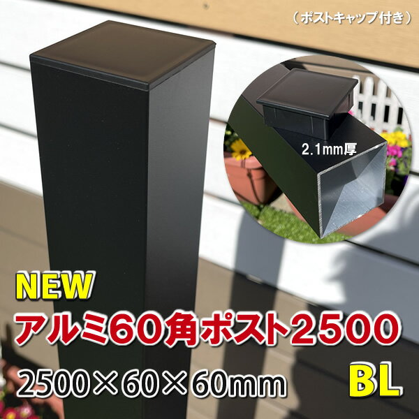 フェンス ホワイト バイナルフェンス 樹脂 PVC 幅200cm 高さ90+（60）cm 基本セット 埋込用 ルーテッドスカラップドピケット EXキャップ RSC900G-EE