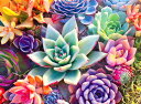 LEADINTOP ダイヤモンドアート セット 多肉植物 花 40X30cm モザイクアート 全面貼り付け ダイヤモンド塗装 ダイアモンドビーズ 人気 ビーズアート ビーズ絵画 かわいい おしゃれ 大人 子供 DIY 手作り 手芸キット プレゼント 芸術品 装飾(3)