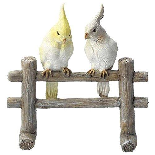 コポー 止木オカメインコ