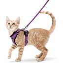 Rabbitgoo 猫 ハーネス リード セット 抜けない 猫用ハーネス ソフト軽量 犬猫兼用 超小型犬 小型犬 散歩 災害避難 はーねす りーど 足を上げず装...