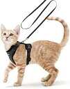 Rabbitgoo 猫ハーネス 猫用 ハーネス リード セット 犬猫兼用 超小型犬 小型犬 抜けない ソフト胸あて 軽量 胴輪 通気メッシュ 足を上げず装着完成 サイズ調節可 夜反射 咳込み防止 ネコ 散歩 外出 災害避難用 ひも はーねす りーど(黒 Sサイズ)