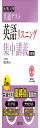 共通テスト 英語〔リスニング〕 集中講義 改訂版 (大学受験SUPER LECTURE)
