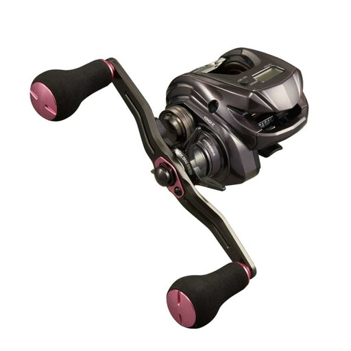 ダイワ(DAIWA) 21 紅牙 IC 150H ダイワ(DAIWA) 21 紅牙 IC 150H