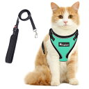 猫 猫用 ハーネス 胴輪 猫具 ねこ ネコ 子猫 子犬 小型犬 散歩 お出かけ 抜けない ベスト ソフト胸あて 軽量 頭を通さずマジックテープで装着 サイズ調節可 夜反射 通気メッシュ (XSサイズ (x 1), グリーン)